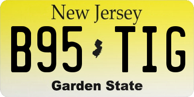 NJ license plate B95TIG