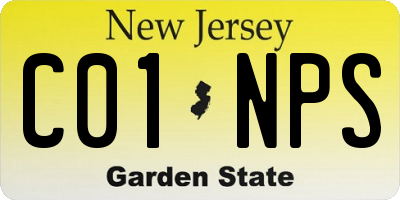 NJ license plate C01NPS