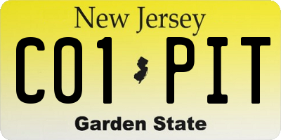 NJ license plate C01PIT