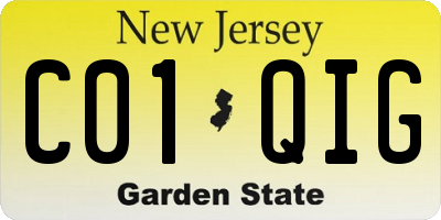 NJ license plate C01QIG