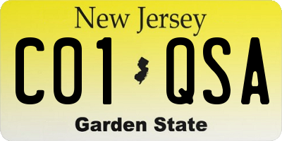 NJ license plate C01QSA