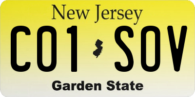 NJ license plate C01SOV