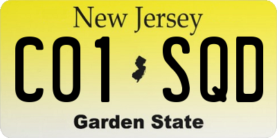 NJ license plate C01SQD