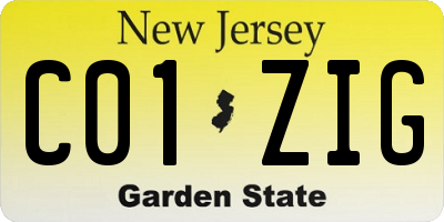NJ license plate C01ZIG