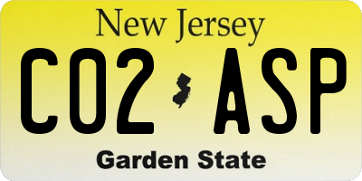 NJ license plate C02ASP