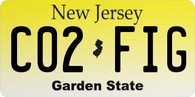 NJ license plate C02FIG