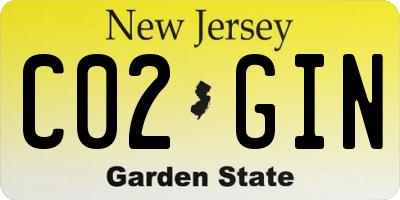 NJ license plate C02GIN