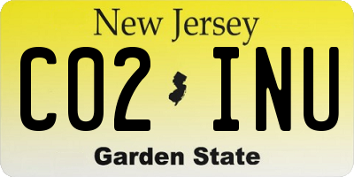 NJ license plate C02INU