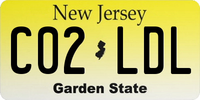 NJ license plate C02LDL
