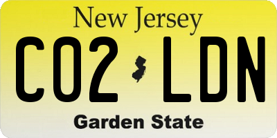NJ license plate C02LDN