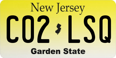 NJ license plate C02LSQ