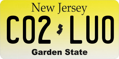NJ license plate C02LUO