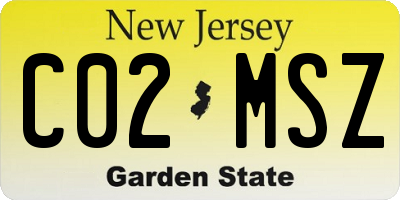 NJ license plate C02MSZ