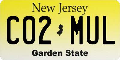 NJ license plate C02MUL
