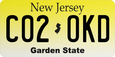 NJ license plate C02OKD