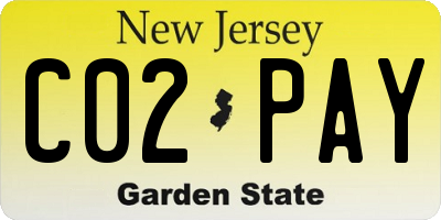 NJ license plate C02PAY