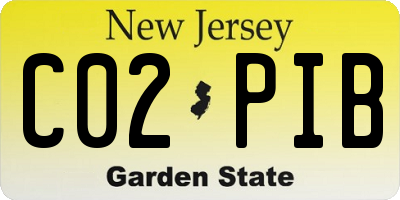 NJ license plate C02PIB