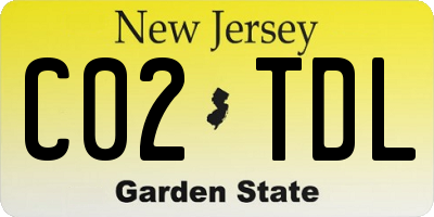 NJ license plate C02TDL