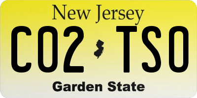 NJ license plate C02TSO