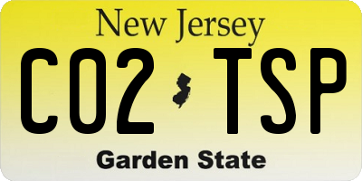 NJ license plate C02TSP