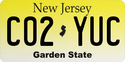 NJ license plate C02YUC