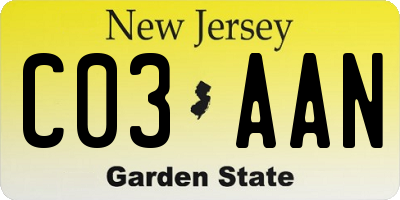 NJ license plate C03AAN