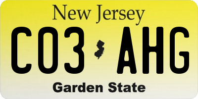NJ license plate C03AHG