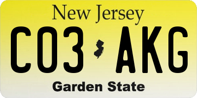 NJ license plate C03AKG