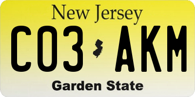 NJ license plate C03AKM