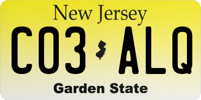 NJ license plate C03ALQ