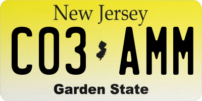 NJ license plate C03AMM