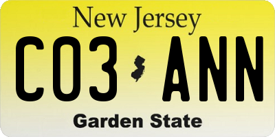 NJ license plate C03ANN
