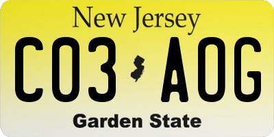 NJ license plate C03AOG