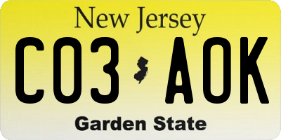 NJ license plate C03AOK