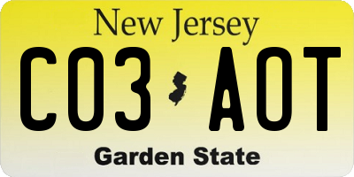 NJ license plate C03AOT