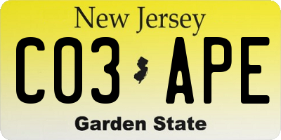 NJ license plate C03APE