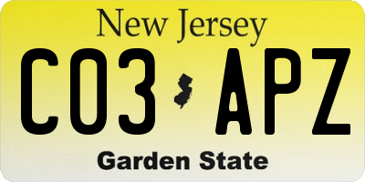 NJ license plate C03APZ