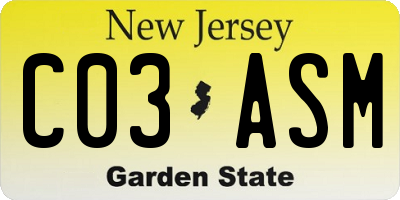 NJ license plate C03ASM