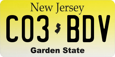 NJ license plate C03BDV