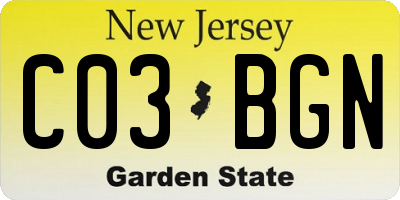 NJ license plate C03BGN