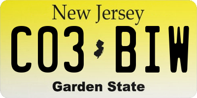 NJ license plate C03BIW