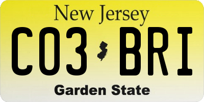 NJ license plate C03BRI