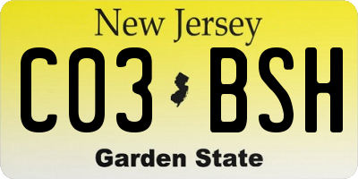 NJ license plate C03BSH