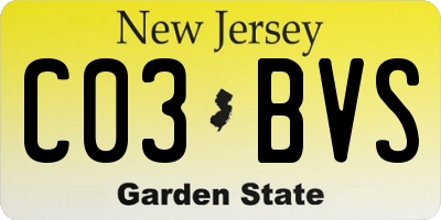 NJ license plate C03BVS