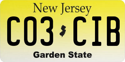 NJ license plate C03CIB