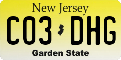NJ license plate C03DHG
