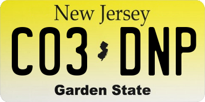 NJ license plate C03DNP