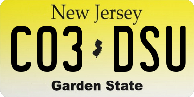 NJ license plate C03DSU