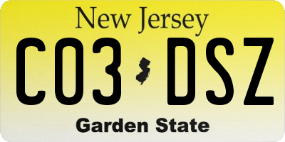 NJ license plate C03DSZ