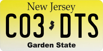 NJ license plate C03DTS